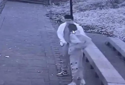 公园野战视频,激情四溢的户外竞技体验